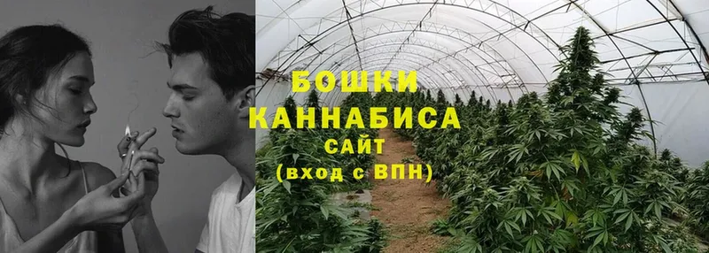 Конопля VHQ  магазин продажи   shop официальный сайт  Владимир 